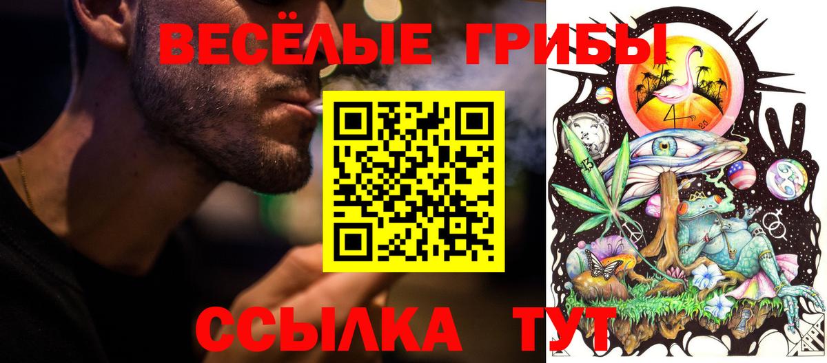 Камышин  Псилоцибиновые грибы ЛСД  Вход с VPN 