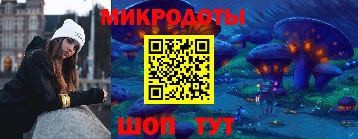 Псилоцибиновые грибы мицелий Камышин